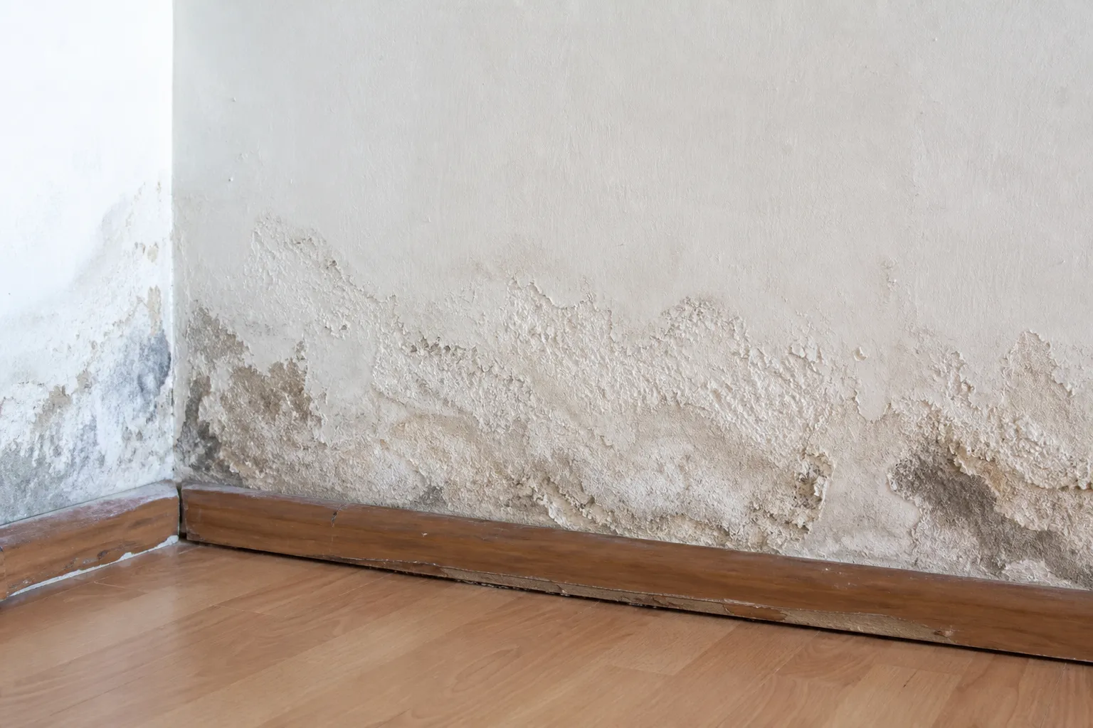 Traces d'humidité et salpêtre en pied de mur, analyse lors d'une expertise avant achat