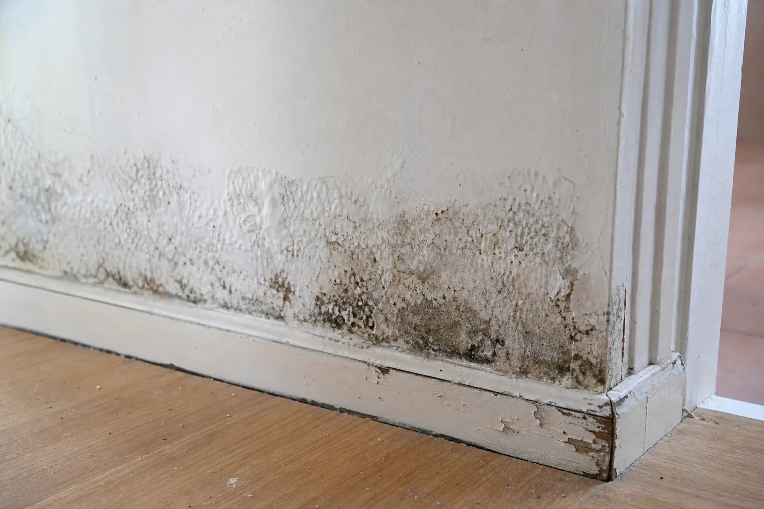 Recherche de traces d'humidité au bas d'un mur lors d'une expertise à Crosne