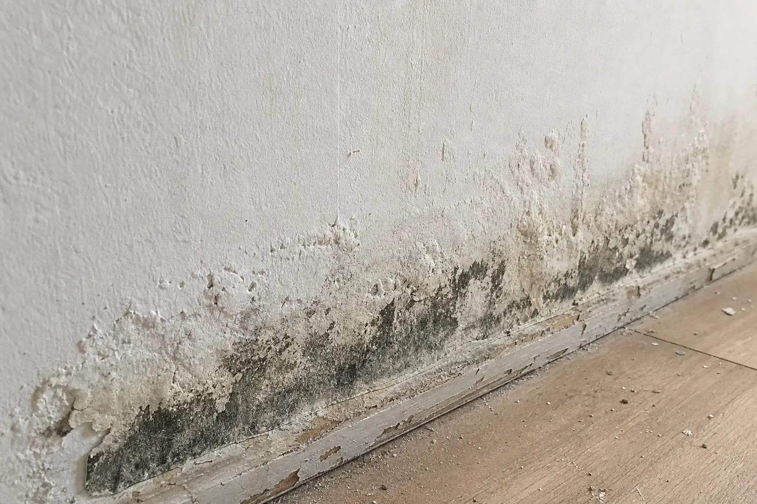 Recherche de traces d'humidité au bas d'un mur lors d'une expertise à Dourdan
