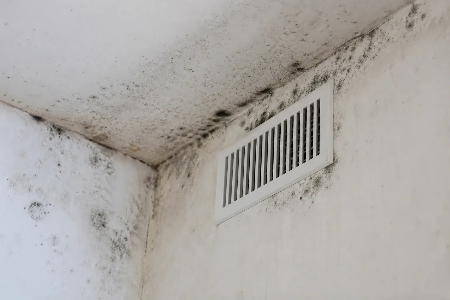 Moisissures et condensation près d'une grille de ventilation, contrôle lors d'une expertise avant achat