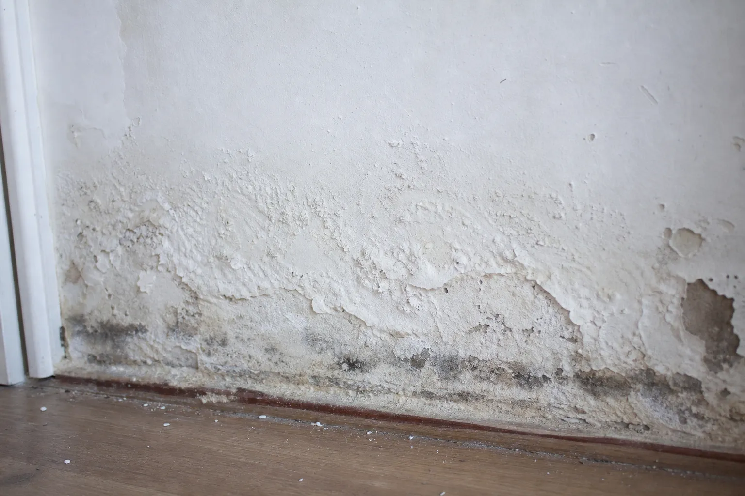Traces d humidite et moisissures sur un mur lors d une expertise a Gif-sur-Yvette